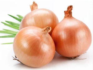 Oignons jaunes frais (oignons dorés)