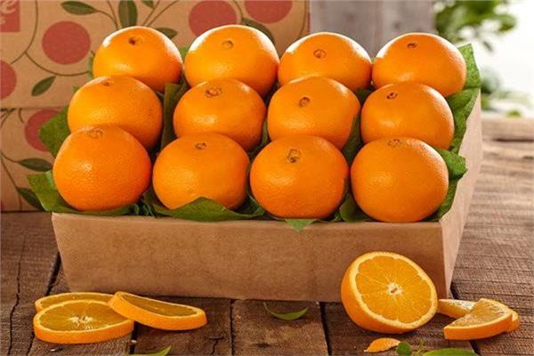 Carton d'orange fraîche (44 - 48 - 56 - 64 - 72 - 80 - 88 - 100 mm) ou selon les exigences des clients