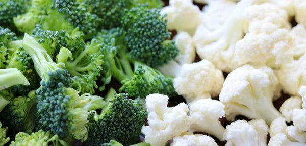 Brocoli frais (vert - blanc) 4 : 5 ​​kg par carton ou selon les exigences des clients