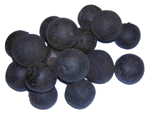 Citron noir séché (en vrac 25 kg ou emballé 50 g)