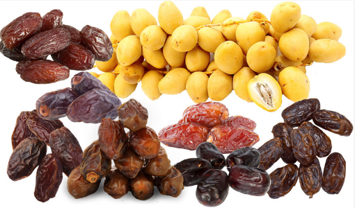 Dattes (Majdool - Barhi - Khadrawi - Siwa) 3-7 cm de long 2,5 cm Sacs en plastique sous vide ou selon les exigences des clients