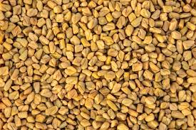 Fenugreek Beans (Ton)