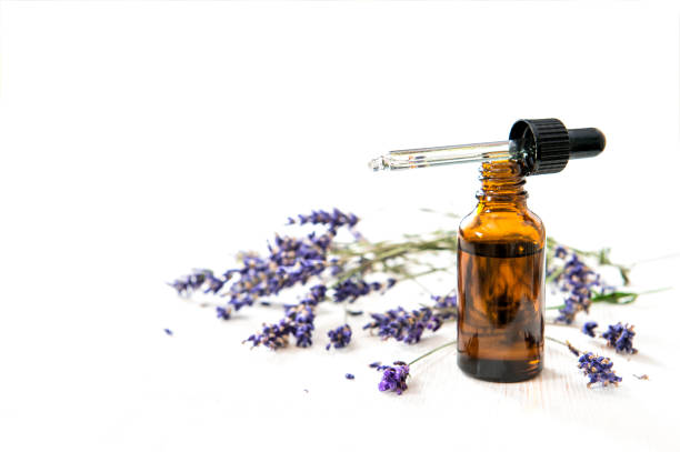 Lavender Oil (1 Litter)