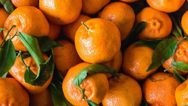 Mandarins ( Clementine - Baladi - Morkit ) Carton or as the clients requirements