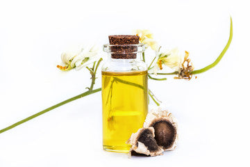 Moringa Oil (Wholesale)