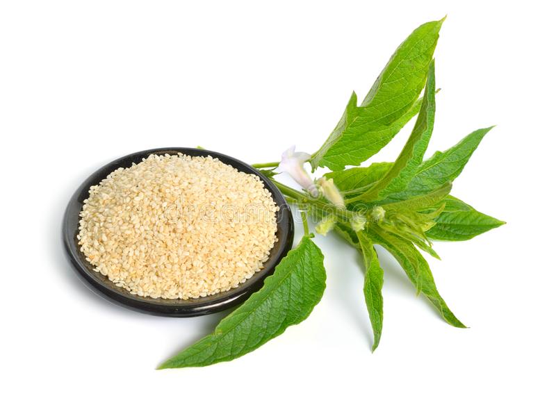 Sesame (Wholesale) - Ton