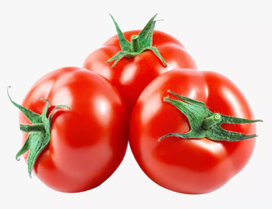 Fresh Tomatoes ( Cherry - Plum - Roma - Purple Red / Green /Dark Red ) 4: 5kg per carton or as the clients requirements