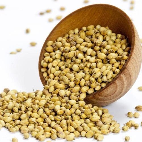 Coriander Artifactual Drying (Ton)