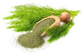 Dill Artifactual Drying (Ton)