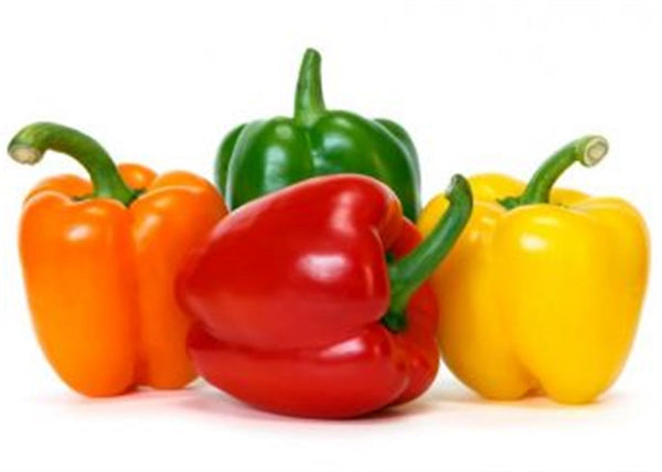 Poivre coloré (carton de piment doux de 40 à 55 mm) ou selon les exigences des clients