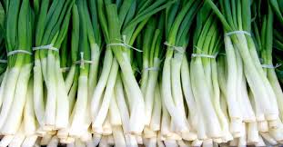 Fresh Onion Green Onion ( Carton or as the clients requirements )