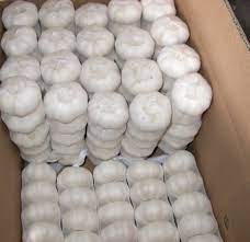 Fresh Garlic Wholesale ( White - Red )
