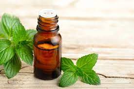 Peppermint Essential oil (1 Litter)