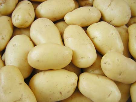 Fresh Potatoes: Aspunta -Mondia - Hermes - Lady Rozetta - Kara           6 KG Mesh Bag 10KG Mesh Bag 25KG Mesh Bag