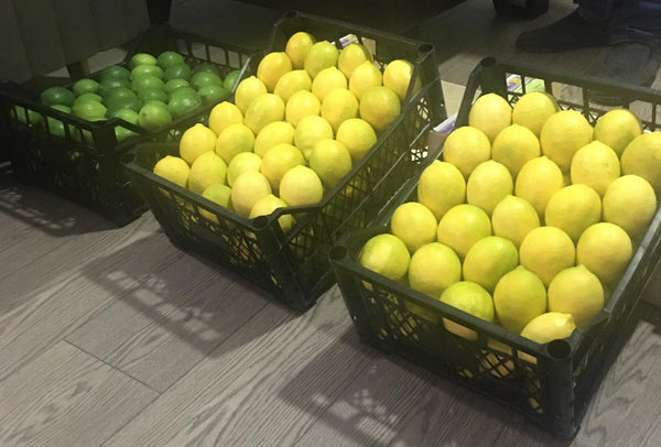 Citron frais (Adalia - Verna - Banzahir 88/100/1133) - Carton de 4 à 5 KG ou selon les exigences des clients